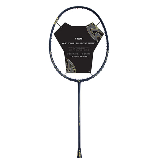 P11 Black Bird Unstrung