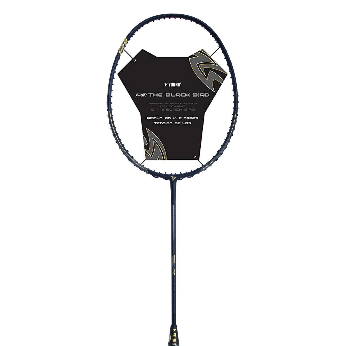 P11 Black Bird Unstrung