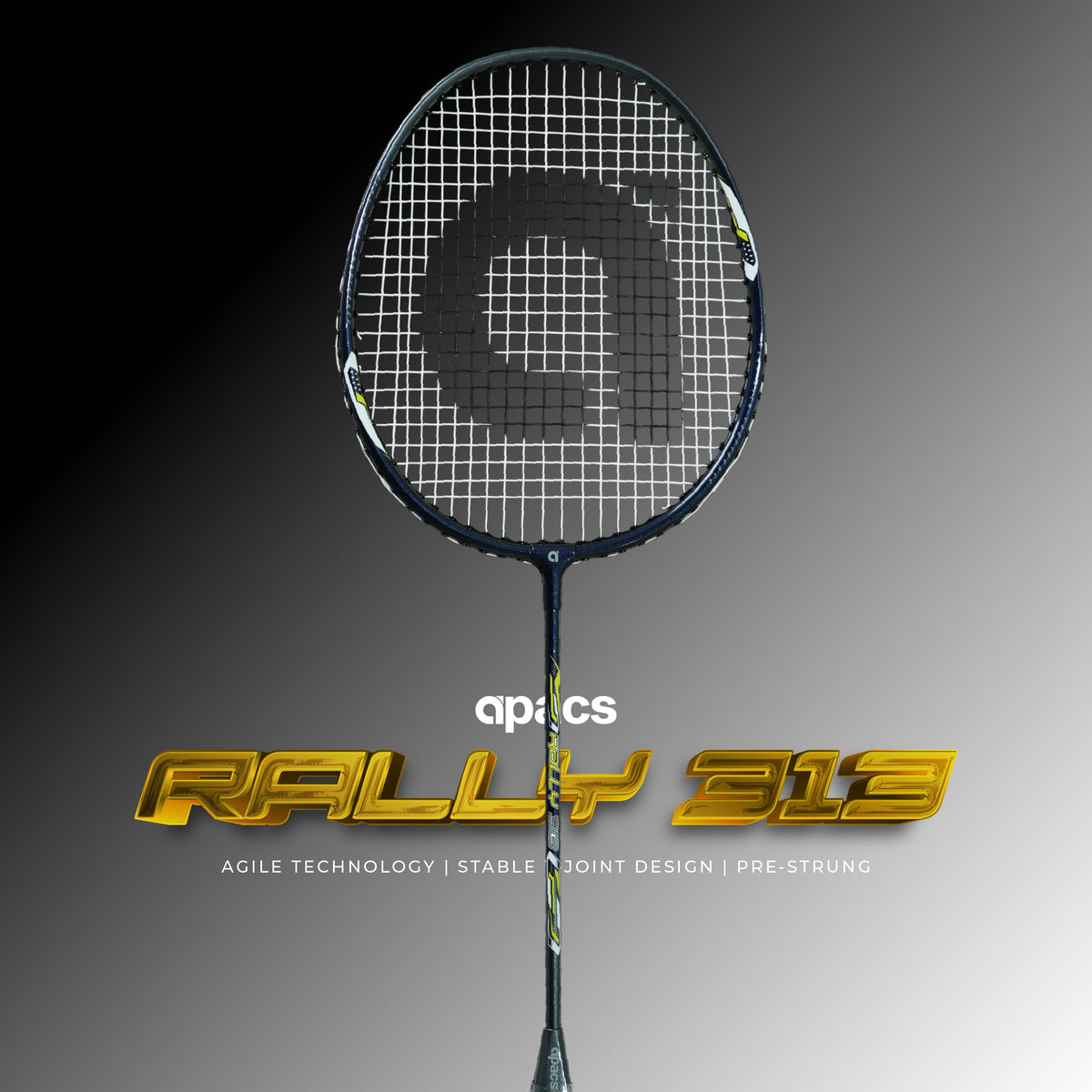 Rally 313