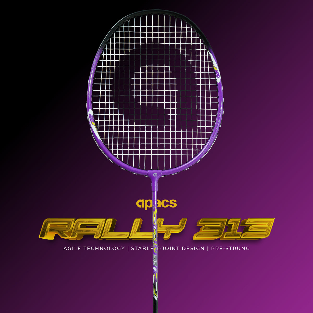 Rally 313