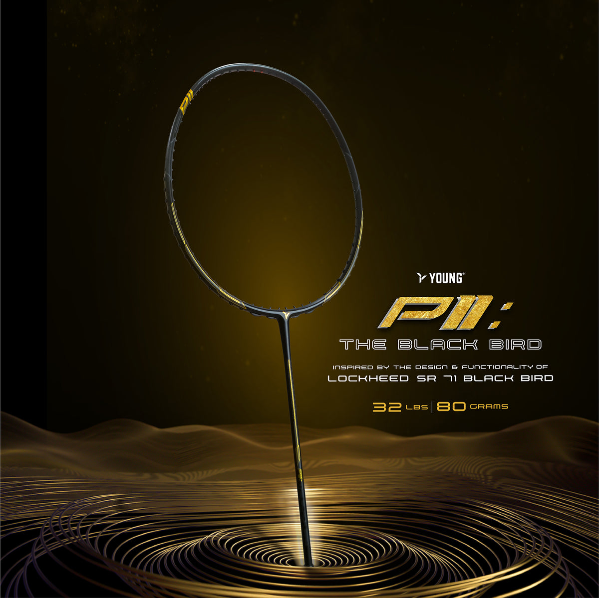 P11 Black Bird Unstrung