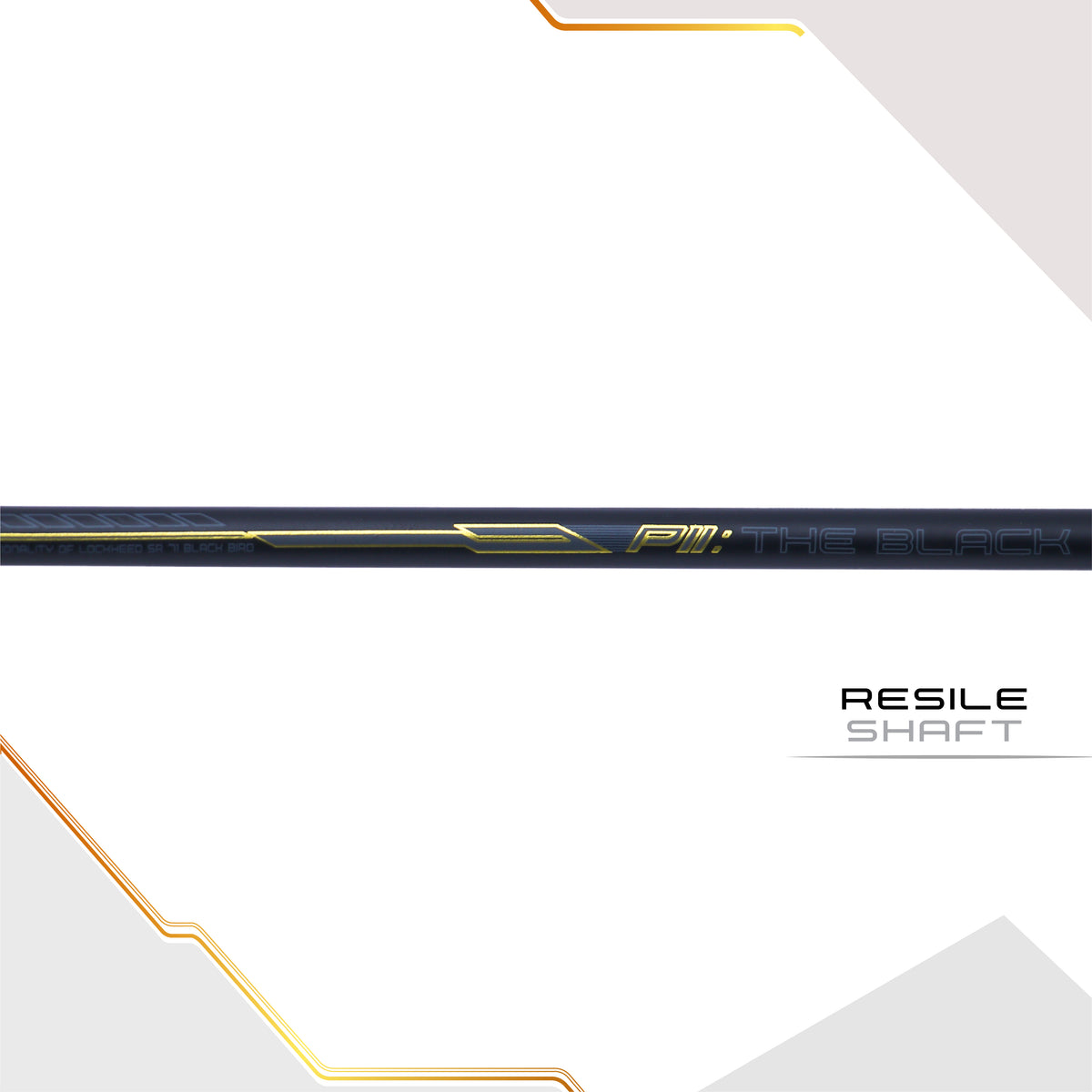 P11 Black Bird Unstrung